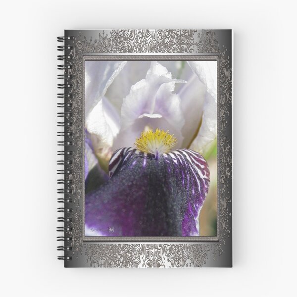 Item preview, Miniature Tall Bearded Iris named Consummation designed and sold by JMcCombie.