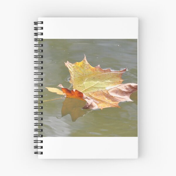 Item preview, Floating Maple Leaf designed and sold by mltrue.