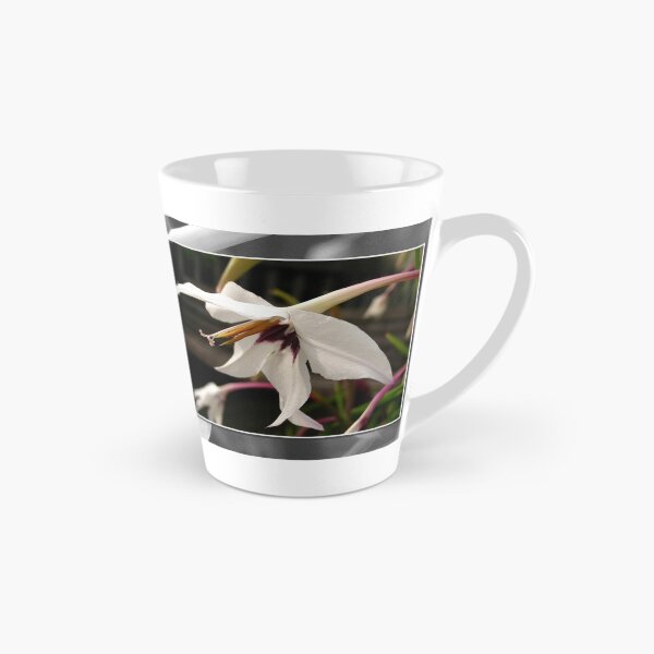Item preview, Acidanthera or Peacock Gladiolus designed and sold by JMcCombie.