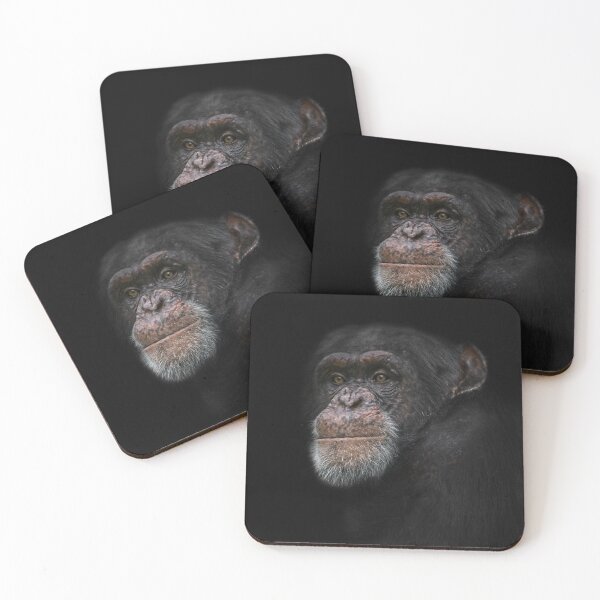 Item preview, Chimpanzee Portrait designed and sold by rawshutterbug.
