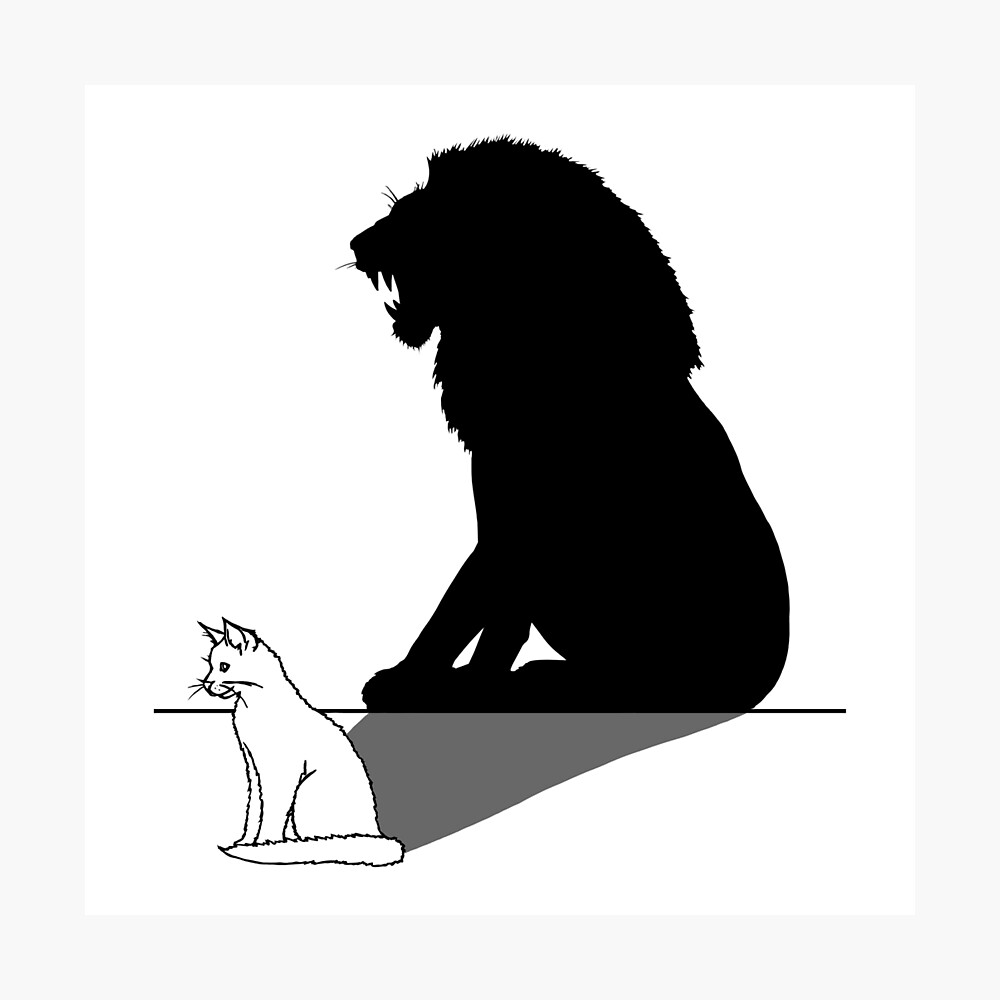 Poster Chat Avec Ombre De Lion Par Konnijensen Redbubble