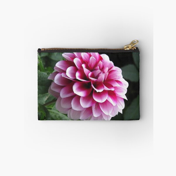 Item preview, Dwarf Dahlia named Colima designed and sold by JMcCombie.