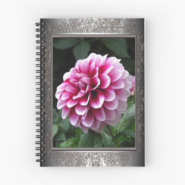 Item preview, Dwarf Dahlia named Colima designed and sold by JMcCombie.