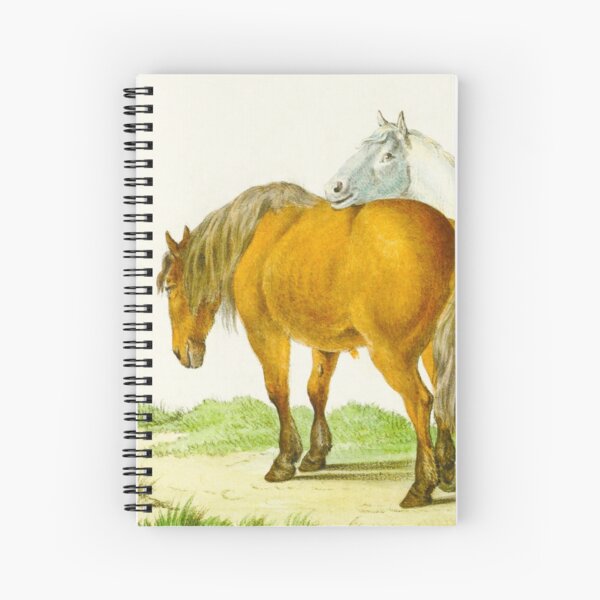 Two Horses in a Field Sketch Spiral Notebook