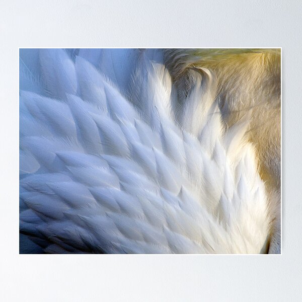 Item preview, Ivory Plumes designed and sold by Sue  Cullumber.