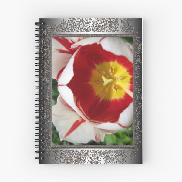 Item preview, Triumph Tulip named Carnaval de Rio designed and sold by JMcCombie.