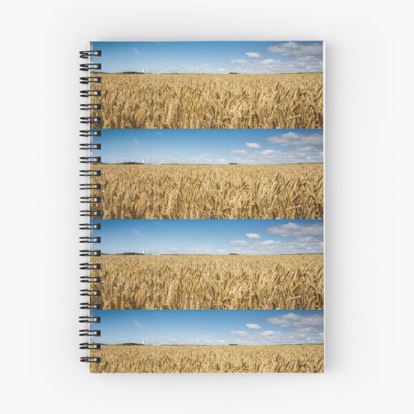Item preview, Nash Point Lighthouse and Golden Wheat Fields designed and sold by heidipics.