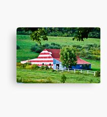 Americana 2 Canvas Print
