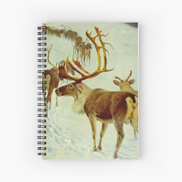 Reindeer Sketch Spiral Notebook