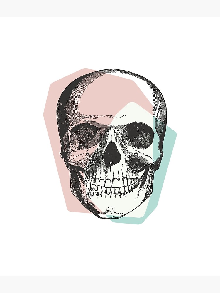 Skull Pastel Pink & Blue • Pastel Goth by rike-mayer