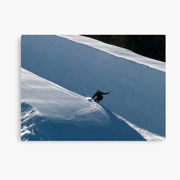 Form and Function Canvas Print