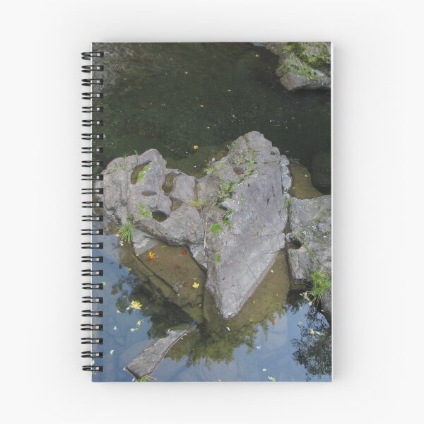 Item preview, Heart of Stone...Santiam Pass, Oregon designed and sold by Diane Arndt.