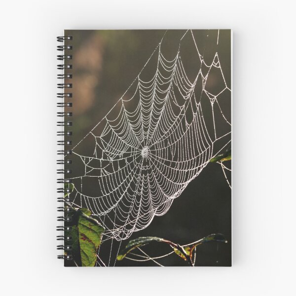 Item preview, More Web Design designed and sold by cuprum.