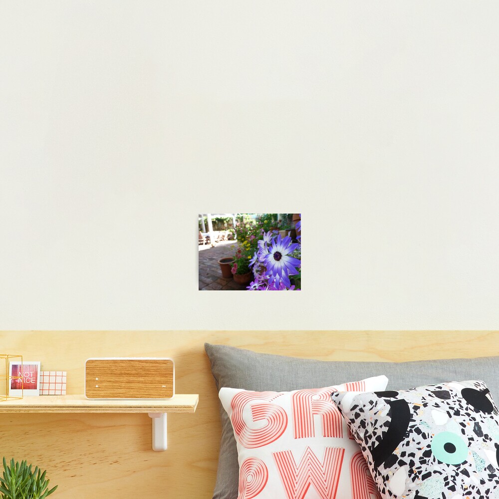 Item preview, Photographic Print designed and sold by joycee.