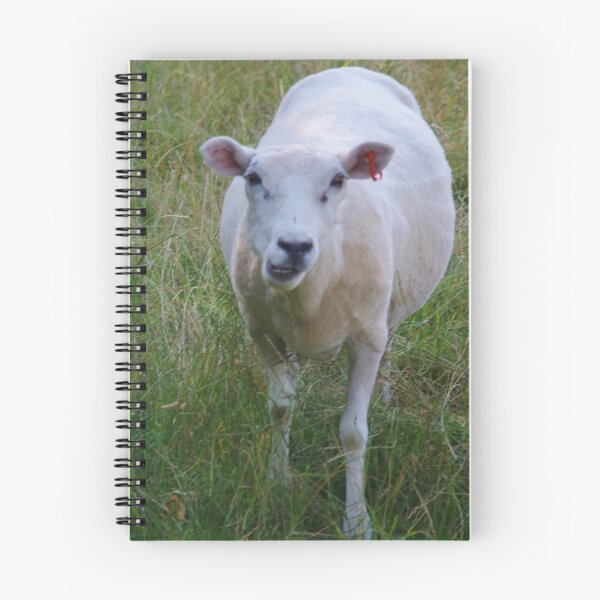 Item preview, Having A Chin-wag!  (Sheep in Wiltshire) designed and sold by lezvee.