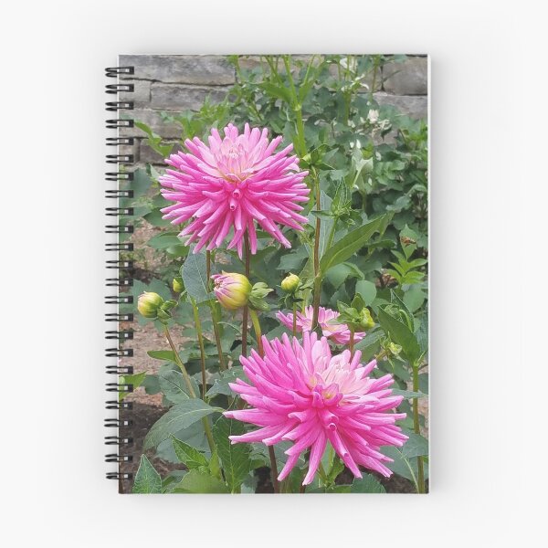 Item preview, Pink Dahlia designed and sold by melzie3.
