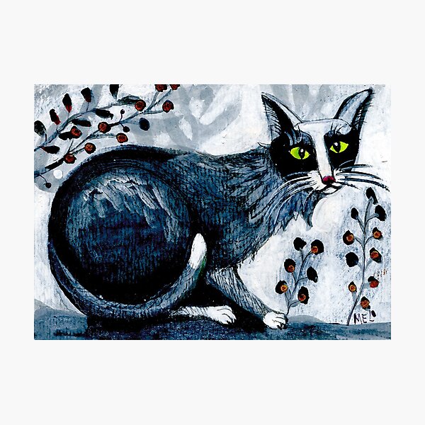 Tuxedo cat, black cat, pet portrait, cute pets, cat art Photographic Print