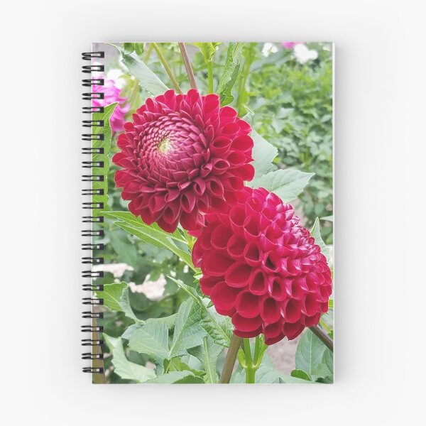 Item preview, Deep Red Dahlia  designed and sold by melzie3.