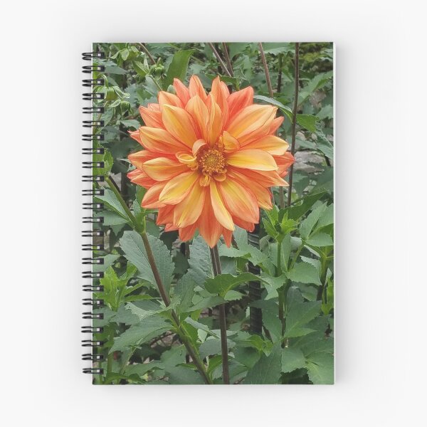 Item preview, Orange and Yellow Dahlia designed and sold by melzie3.