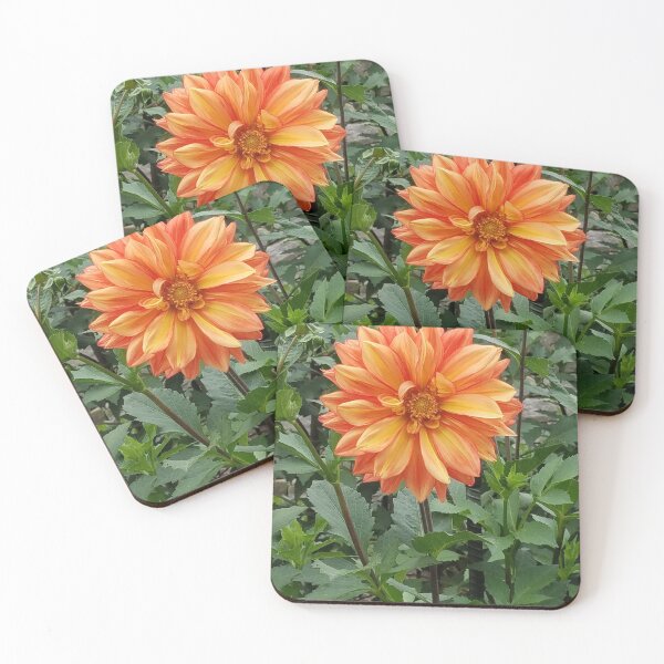 Item preview, Orange and Yellow Dahlia designed and sold by melzie3.
