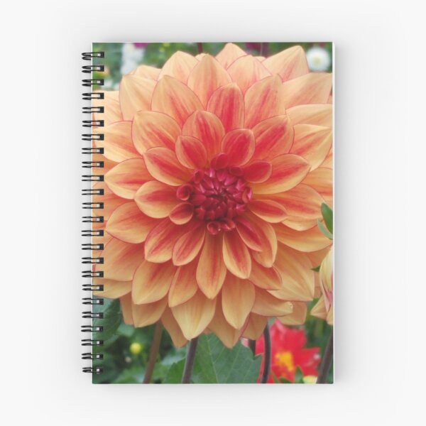 Item preview, Orange and Yellow Dahlia 2 designed and sold by melzie3.