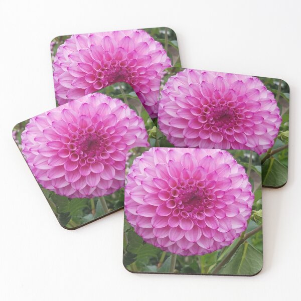 Item preview, Pink and Purple Dahlia designed and sold by melzie3.