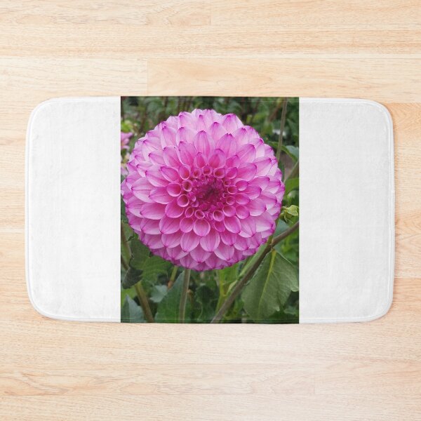 Item preview, Pink and Purple Dahlia designed and sold by melzie3.