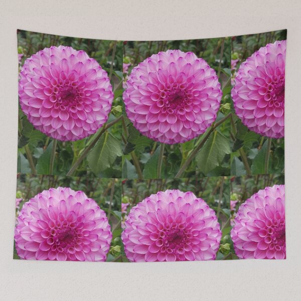 Item preview, Pink and Purple Dahlia designed and sold by melzie3.