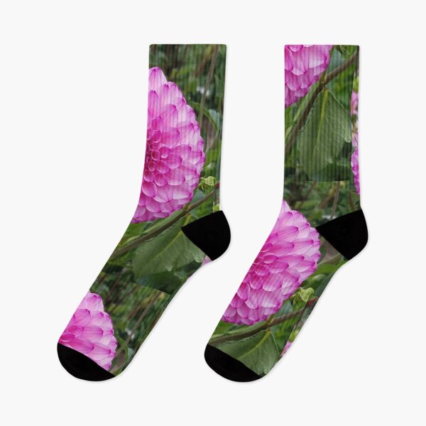 Item preview, Pink and Purple Dahlia designed and sold by melzie3.