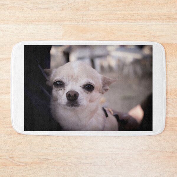 Item preview, Chihuagua dog designed and sold by GemaIbarra.