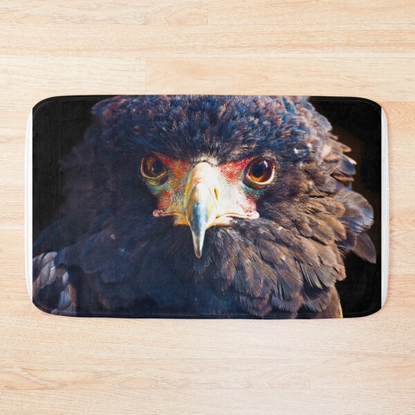Item preview, Bateleur Eagle designed and sold by jonfun1.