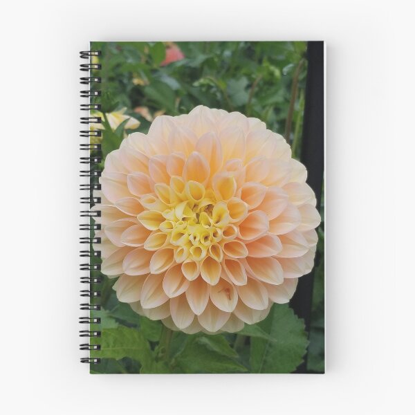 Item preview, Orange and Yellow Dahlia 3 designed and sold by melzie3.