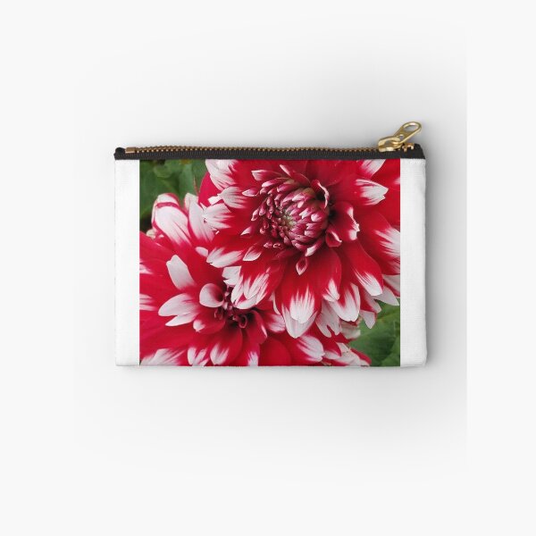 Item preview, Red and White Dahlia designed and sold by melzie3.