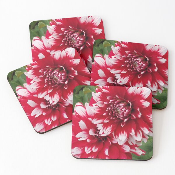 Item preview, Red and White Dahlia designed and sold by melzie3.