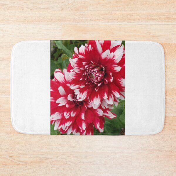 Item preview, Red and White Dahlia designed and sold by melzie3.