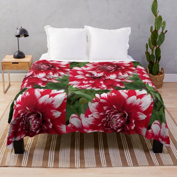 Item preview, Red and White Dahlia designed and sold by melzie3.