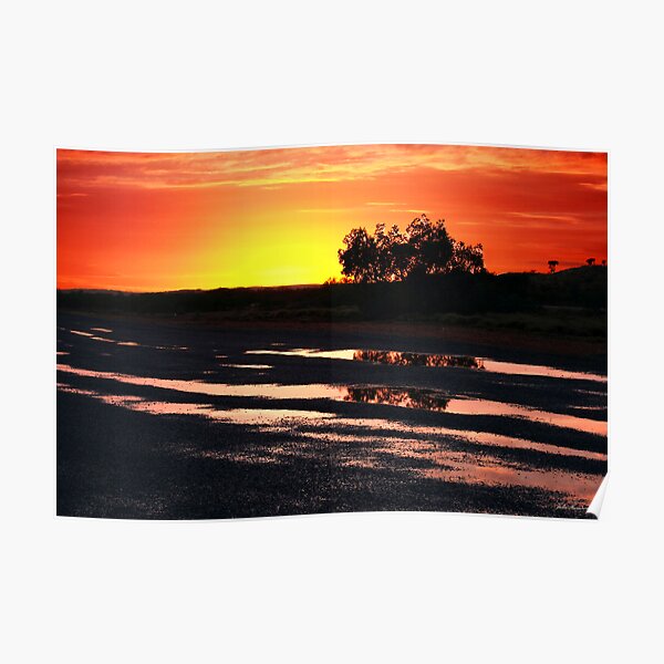 Tree at Sunrise Poster