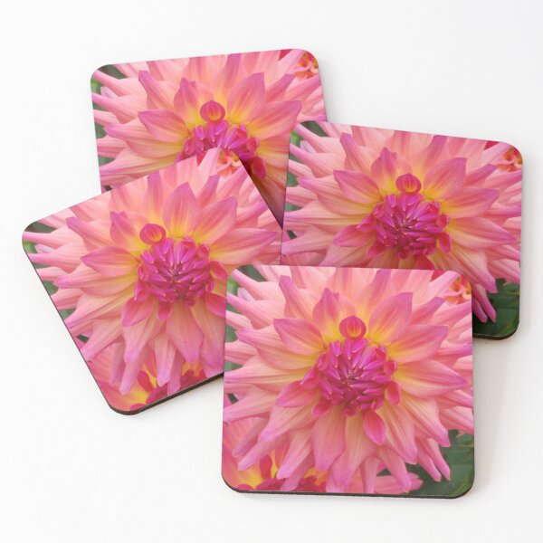 Item preview, Pink and Yellow Dahlia designed and sold by melzie3.