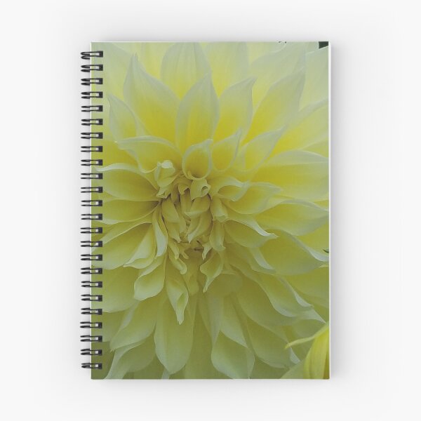 Item preview, Yellow Dahlia 2 designed and sold by melzie3.