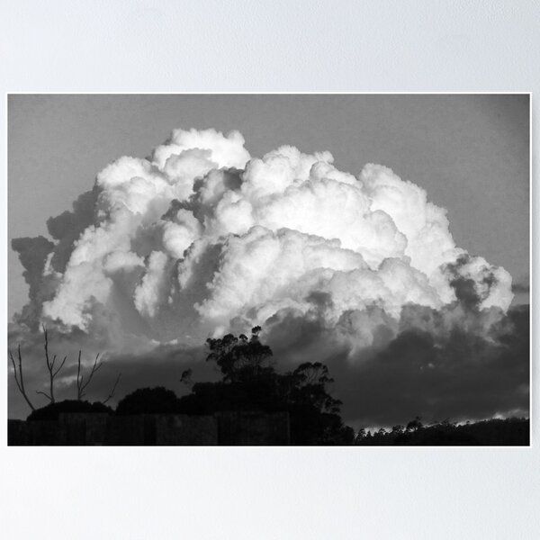 Item preview, Over the Back Fence, Black and White Lilydale, Tasmania designed and sold by RainbowWomanTas.