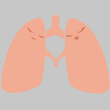 Artwork thumbnail, Lungs Couple by conscript