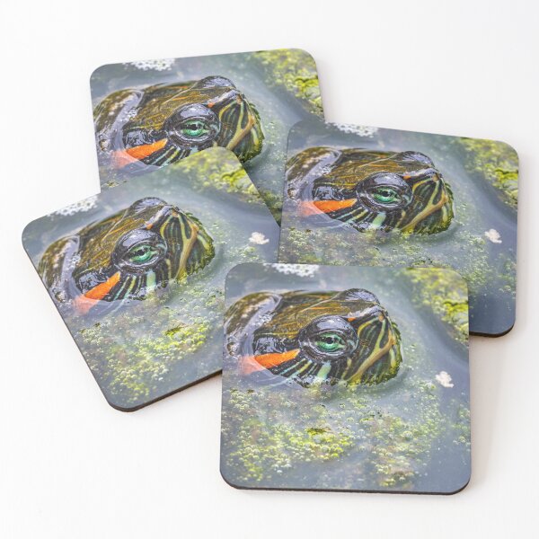 Item preview, turtle designed and sold by alan shapiro.
