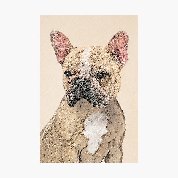Item preview, Bulldog Francés (Sable) designed and sold by alpendesigns.