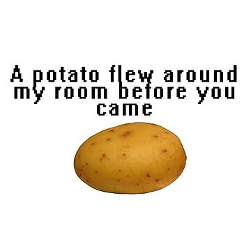 Potato Flew Around My Room vine