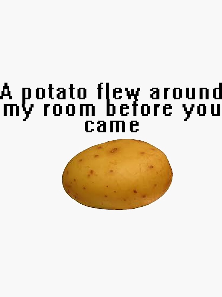 Potato Flew Around My Room vine