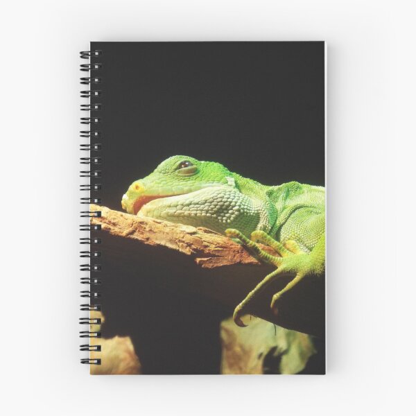Item preview, Iguana Nap designed and sold by Jen-Perry.