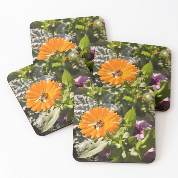 Item preview, Bee on autumn flower designed and sold by taritante.