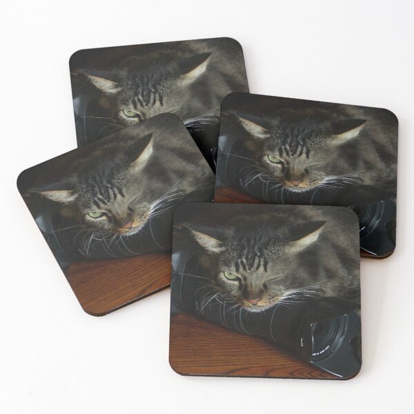 Item preview, MY Camera, wink wink! designed and sold by heatherfriedman.