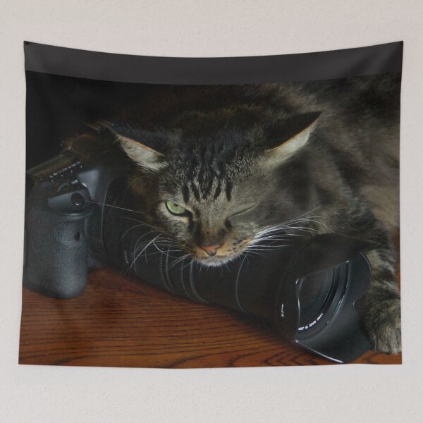 Item preview, MY Camera, wink wink! designed and sold by heatherfriedman.