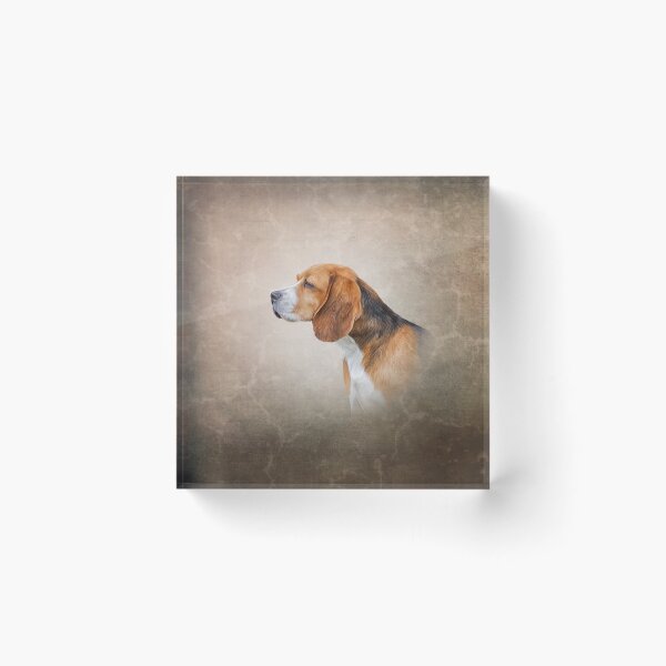 Item preview, Drawing Dog Beagle designed and sold by bonidog.